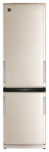 larawan Refrigerator Sharp SJ-WP371TBE, pagsusuri