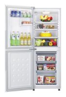 larawan Refrigerator Samsung RL-22 FCMS, pagsusuri