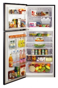 Фото Холодильник Samsung RT-45 USGL, обзор
