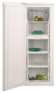 larawan Refrigerator BEKO FSE 21920, pagsusuri