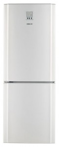 larawan Refrigerator Samsung RL-26 DCSW, pagsusuri