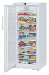 larawan Refrigerator Liebherr GNP 2976, pagsusuri