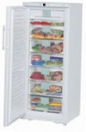 Liebherr GNP 2976 Refrigerator aparador ng freezer pagsusuri bestseller