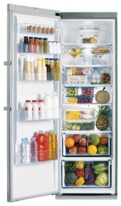 Фото Холодильник Samsung RR-92 EESL, обзор