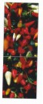 Snaige RF36SM-S10021 36-26 Ledusskapis ledusskapis ar saldētavu pārskatīšana bestsellers