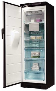 larawan Refrigerator Electrolux EUFG 2900 X, pagsusuri