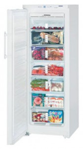 larawan Refrigerator Liebherr GN 2756, pagsusuri
