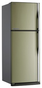 Kuva Jääkaappi Toshiba GR-R59FTR SC, arvostelu