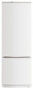 larawan Refrigerator ATLANT ХМ 6020-031, pagsusuri
