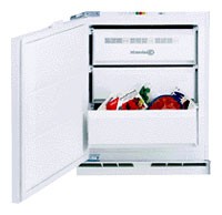 larawan Refrigerator Bauknecht UGI 1000/B, pagsusuri