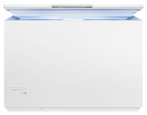 larawan Refrigerator Electrolux EC 2233 AOW, pagsusuri