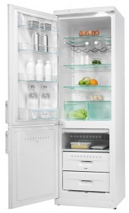 Photo Fridge Electrolux ERB 3598 W, review