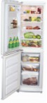 Samsung RL-17 MBSW Холодильник холодильник з морозильником огляд бестселлер