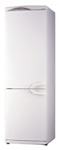 larawan Refrigerator Daewoo Electronics ERF-364 M, pagsusuri