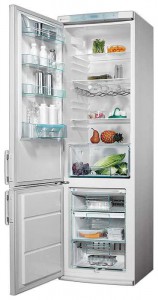 larawan Refrigerator Electrolux ENB 3850, pagsusuri