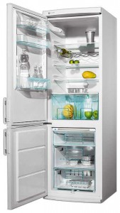 larawan Refrigerator Electrolux ENB 3440, pagsusuri