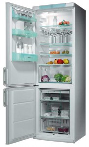 larawan Refrigerator Electrolux ERB 3651, pagsusuri