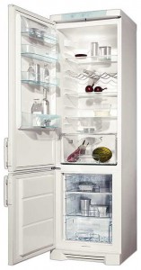 larawan Refrigerator Electrolux ERB 4024, pagsusuri