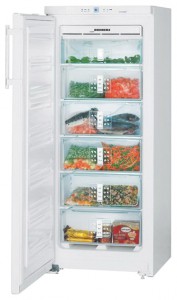 larawan Refrigerator Liebherr GNP 2356, pagsusuri