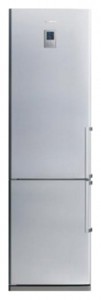 larawan Refrigerator Samsung RL-40 ZGPS, pagsusuri