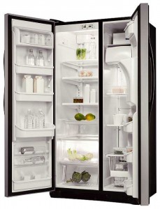 Photo Fridge Electrolux ERL 6296 SK, review