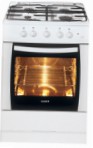 Hansa FCGW66002010 Kitchen Stove type of ovengas review bestseller