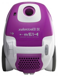 Photo Vacuum Cleaner Electrolux ZE 330, review