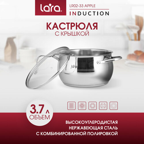 Кастрюля LARA LR02-33 APPLE, 3.7л, d20 см из нержавеющей стали, для всех типов плит. фото