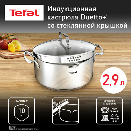 Кастрюля Tefal Duetto+, 2.9 л, диаметр 20 см фото