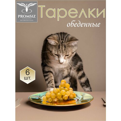 Набор тарелок обеденных в подарочной упаковке PROMSIZ натуральное золото, 26 см, 6 шт. фото