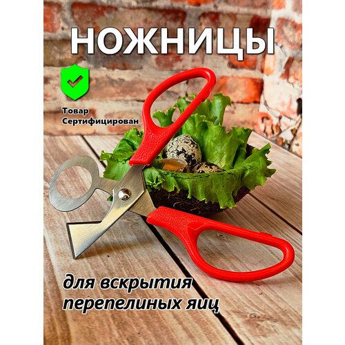 Ножницы для вскрытия перепелиных яиц IFedo (красные) для кухни фото