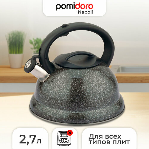 Чайник для индукционной и электрической плиты Pomi D'oro, 2,7 литра фото