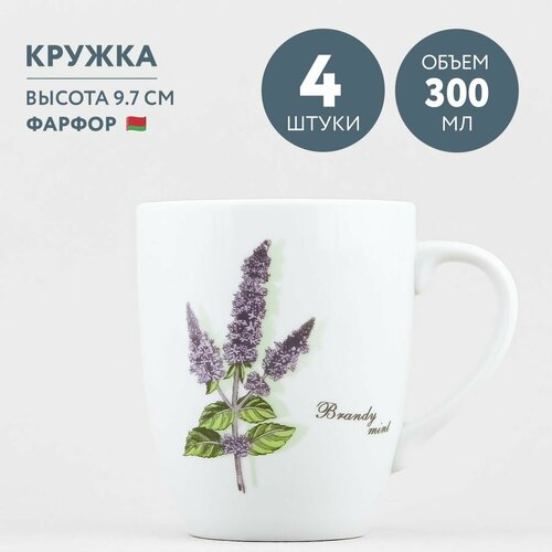 Набор из 4 кружек для чая и кофе 300 мл Добрушский фарфор Ботаника Brandy mint фото