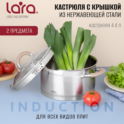 Кастрюля LARALR02-343 Берлин, 4,4л, d 22см,из нержавеющей стали, для всех типов плит. фото