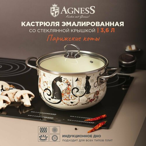 Кастрюля эмалированная AGNESS со стеклянной крышкой серия 