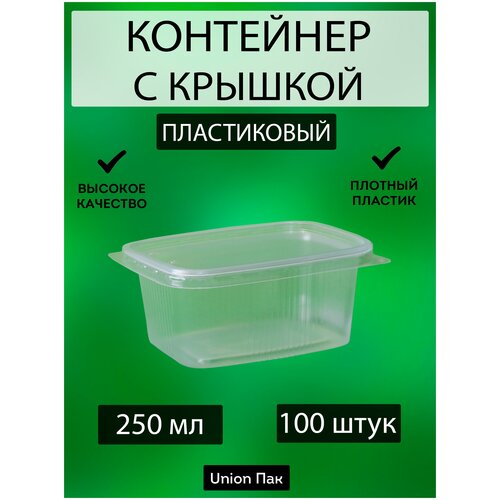 Контейнер с крышкой одноразовый пластиковый 250 мл 100 штук фото