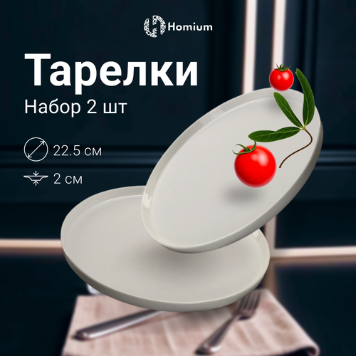 Набор сервировочных для вторых блюд тарелок Homium Collection, 2шт, D22.5см, цвет белый фото