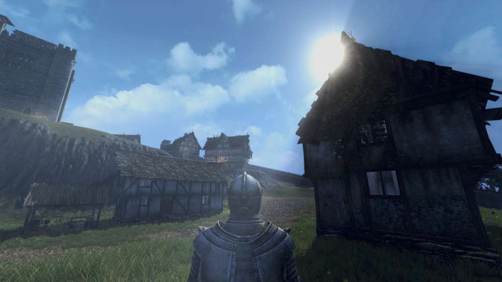Life is Feudal: Your Own Steam CD Key 24.4$