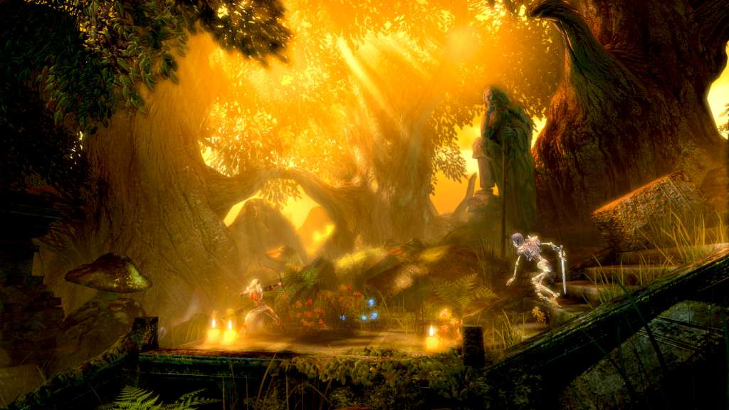 Trine: Ultimate Collection Steam CD Key 21.24$