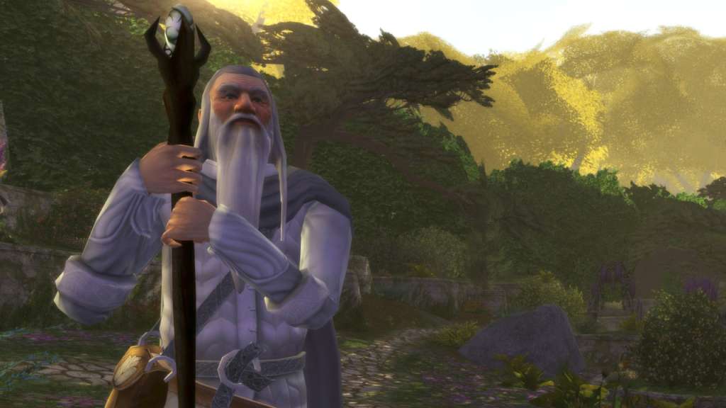 The Lord of the Rings Online 800 LOTRO Point EU Code 10.06$