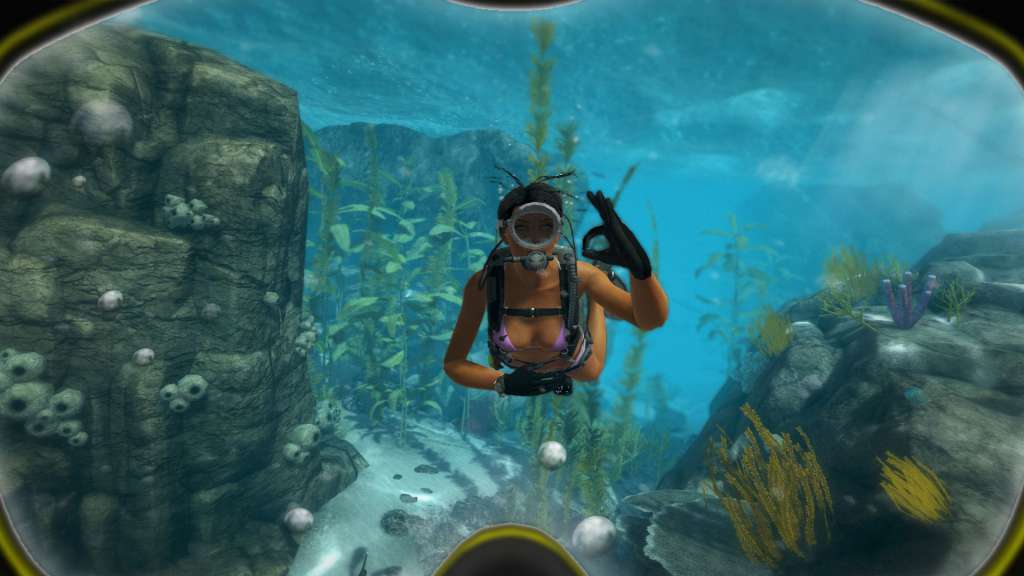 World of Diving Steam CD Key 2.06$