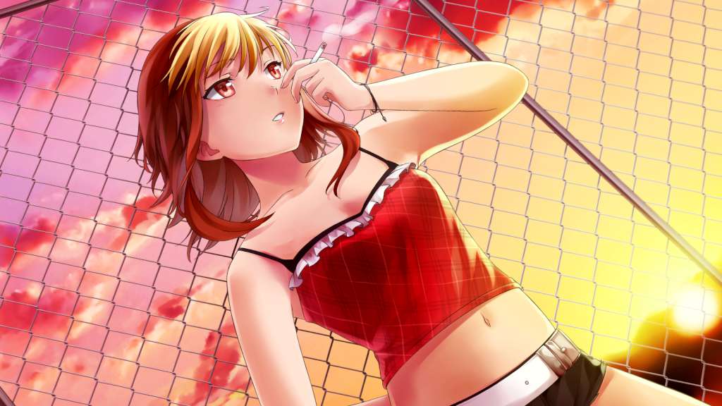 HuniePop Steam CD Key 3.53$