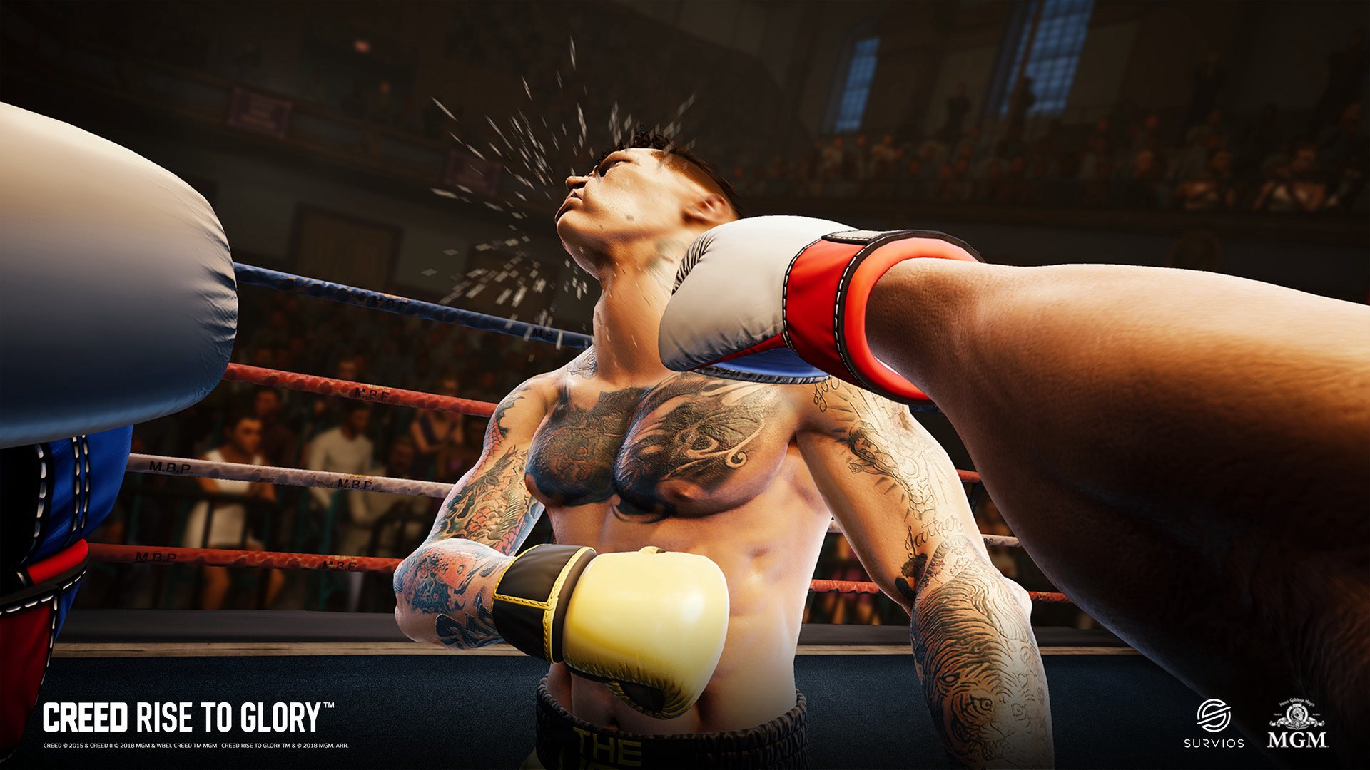 Creed: Rise to Glory Steam CD Key 10.71$