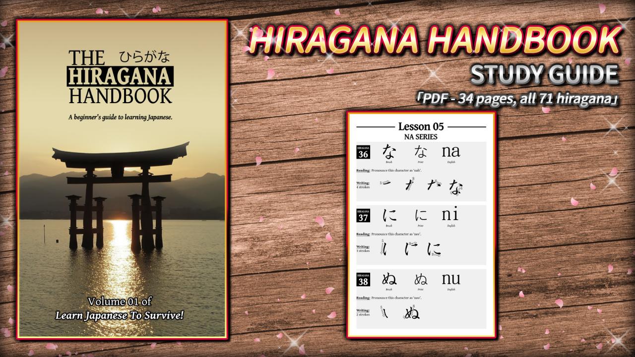 Learn Japanese To Survive! Hiragana Battle - Study Guide DLC Steam CD Key 1.8$