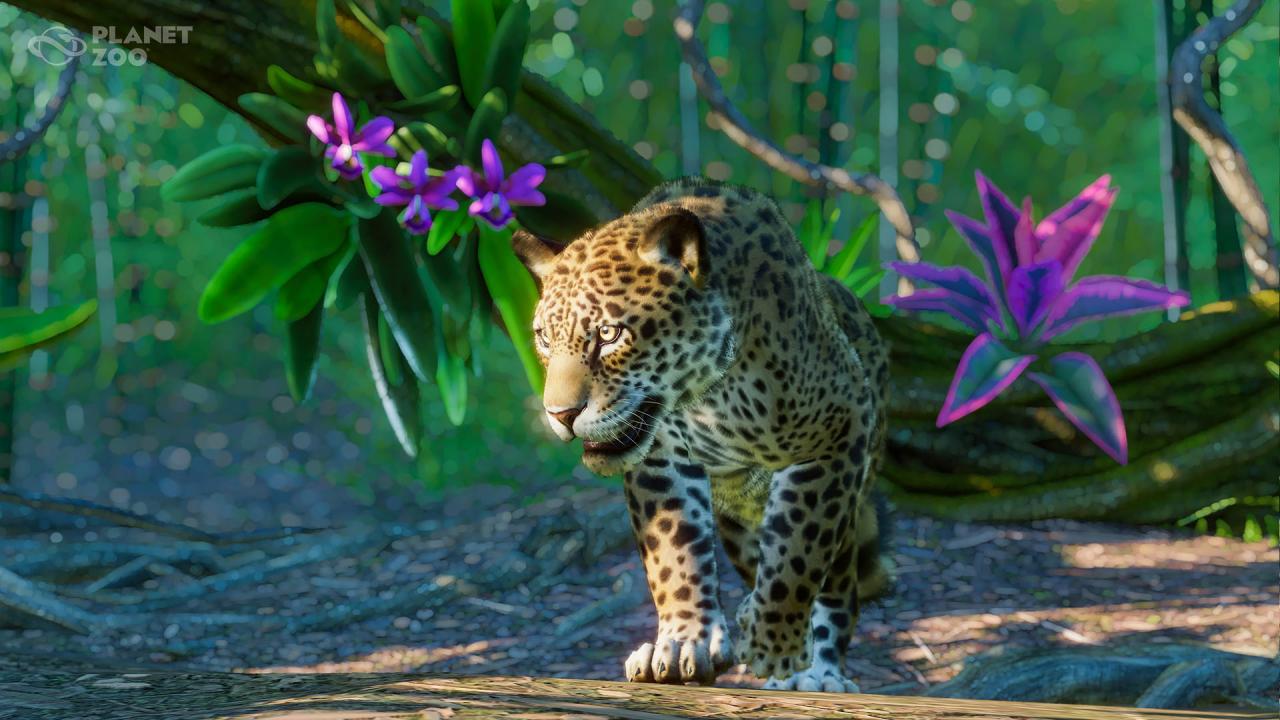 Planet Zoo - South America Pack DLC Steam Altergift 12.5$