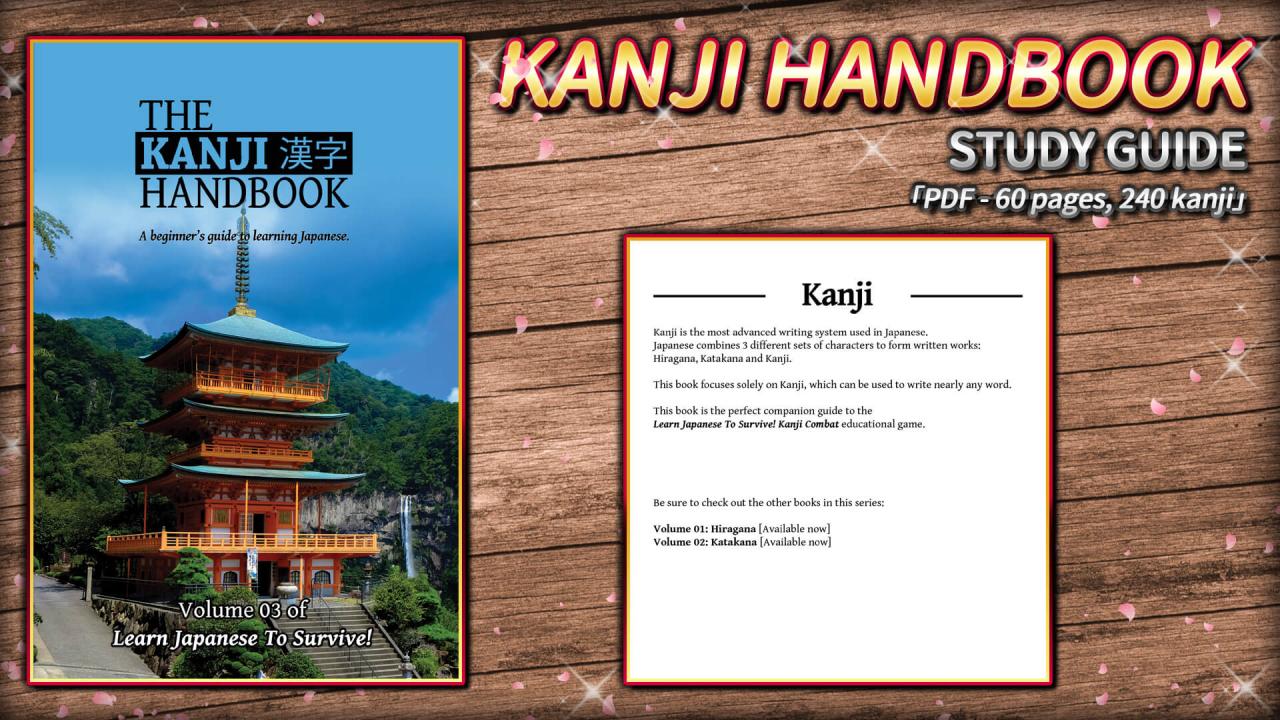 Learn Japanese To Survive! Kanji Combat - Study Guide DLC Steam CD Key 1.76$