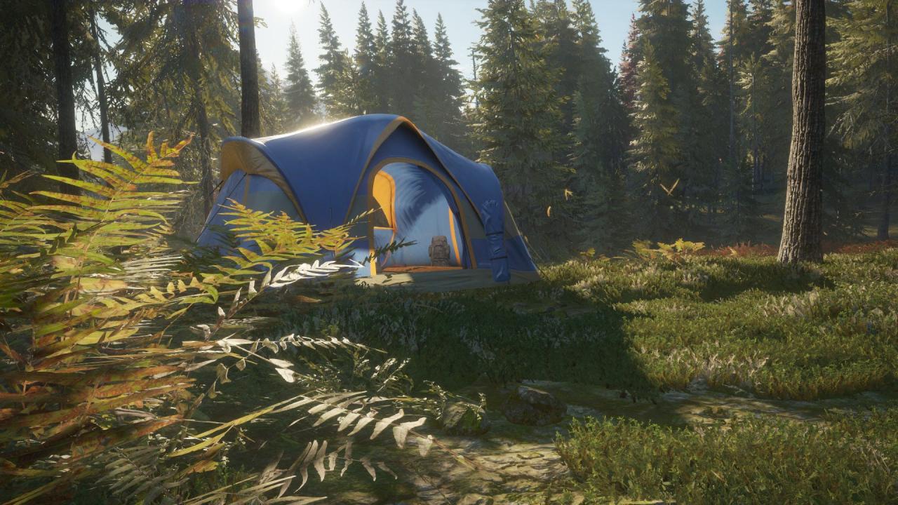theHunter: Call of the Wild - Tents & Ground Blinds DLC Steam CD Key 1.6$