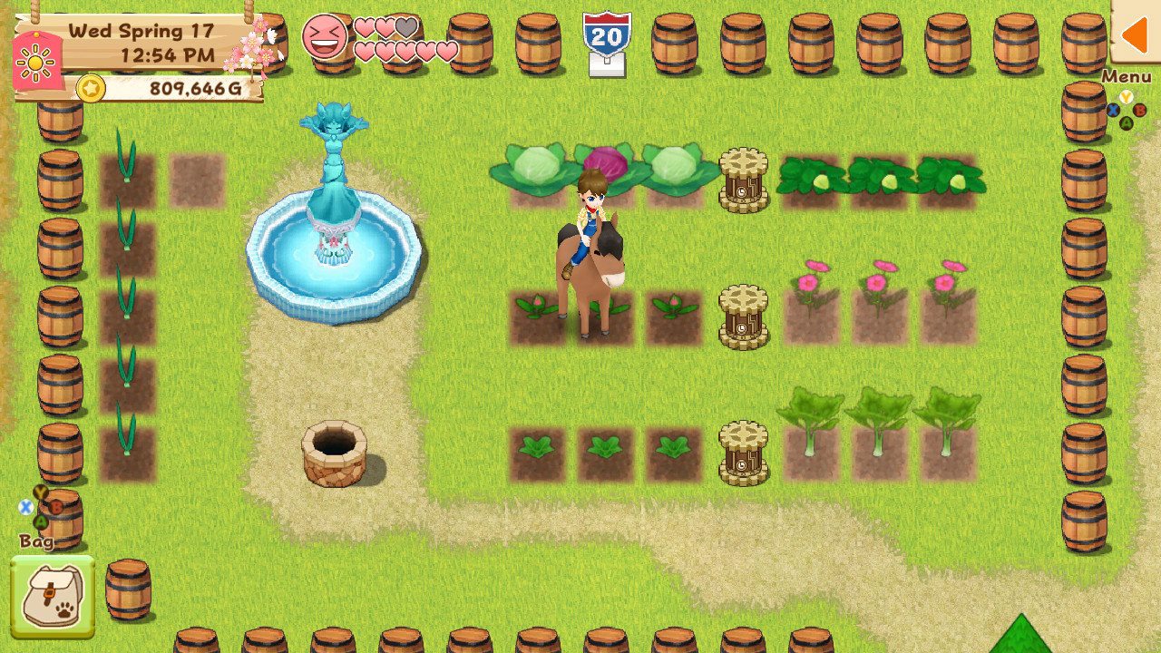 Harvest Moon: Light of Hope Special Edition - Decorations & Tool Upgrade Pack Steam CD Key 0.84$