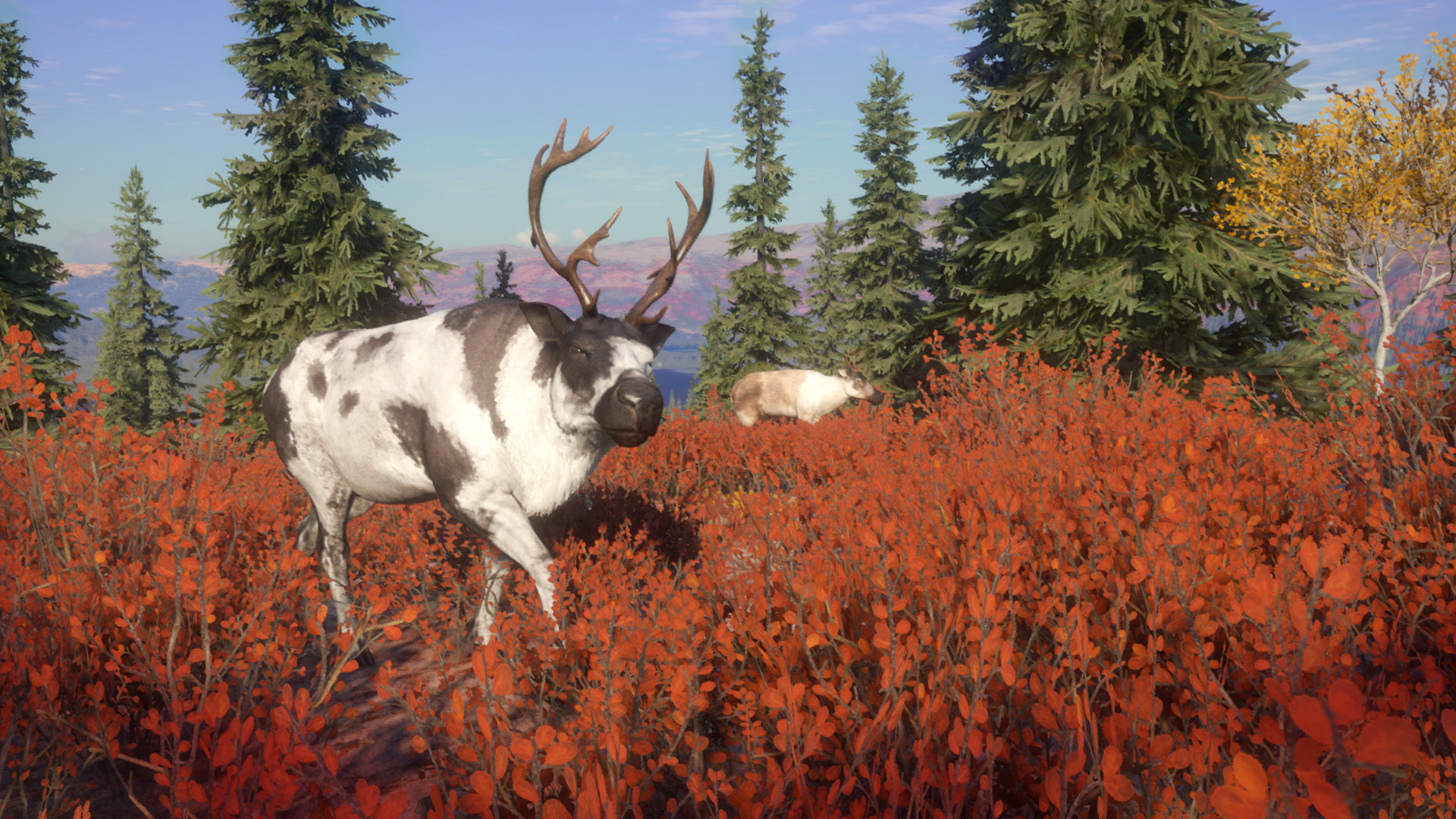 theHunter: Call of the Wild - Yukon Valley Steam CD Key 2.58$