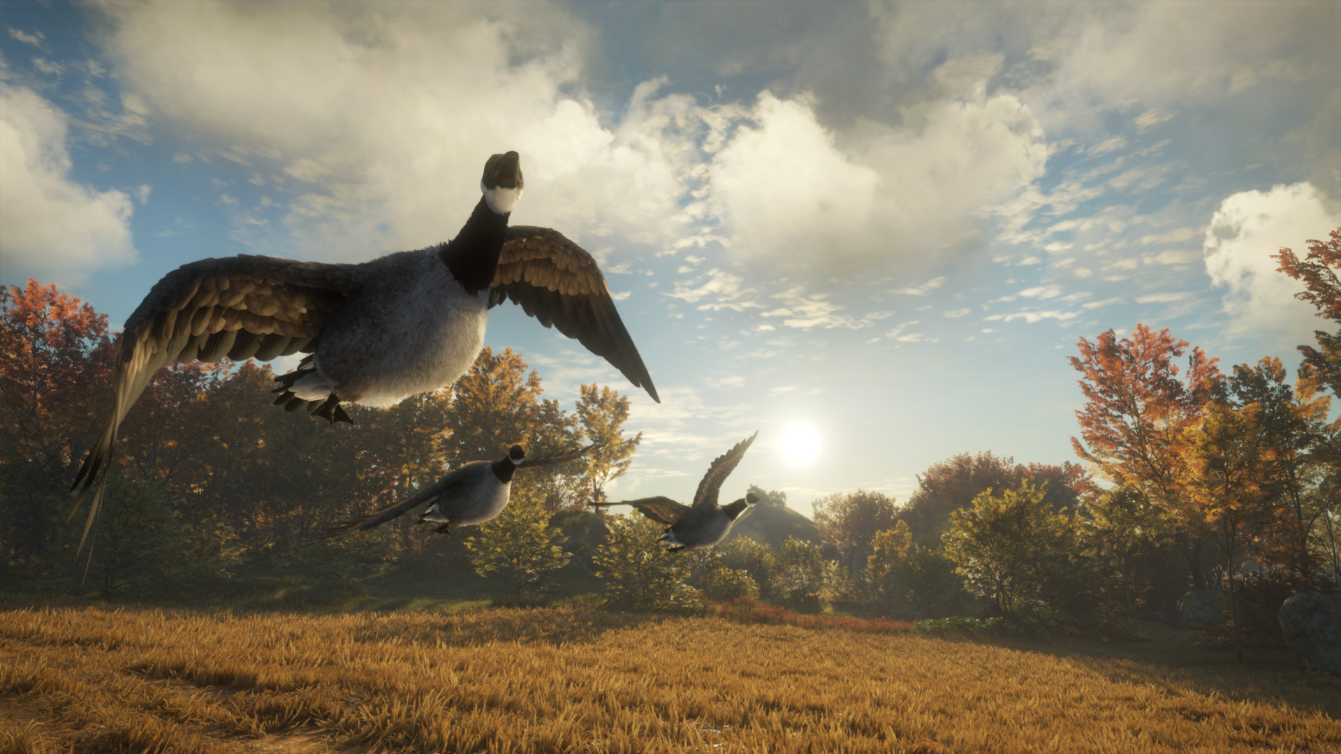 theHunter: Call of the Wild - Wild Goose Chase Gear DLC Steam CD Key 1.62$